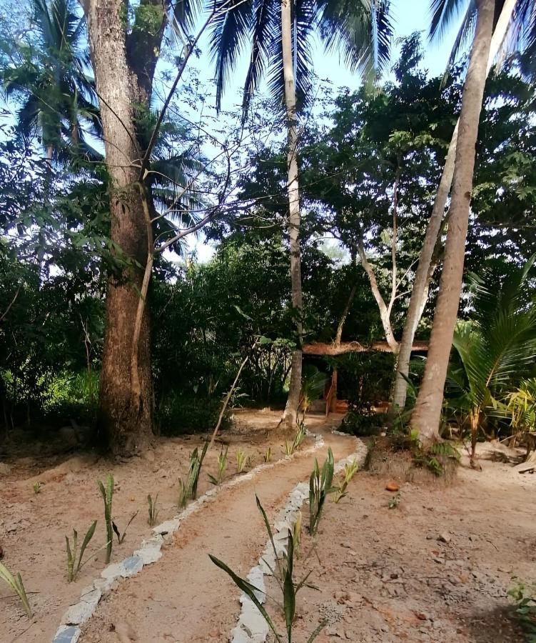 Fully Furnished Family Jungle Tent, Latino Glamping Paquera Dış mekan fotoğraf