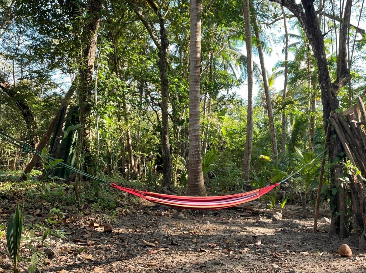 Fully Furnished Family Jungle Tent, Latino Glamping Paquera Dış mekan fotoğraf
