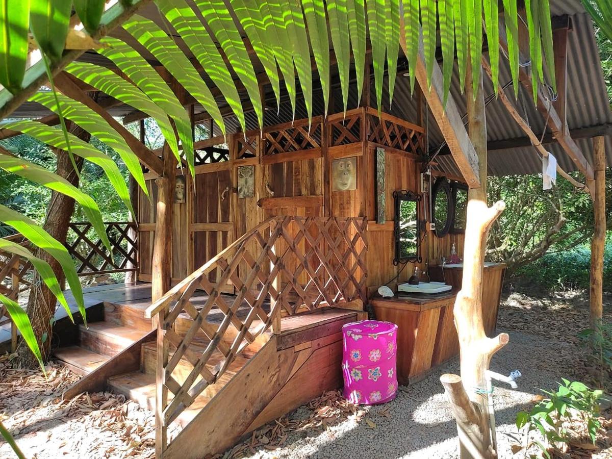 Fully Furnished Family Jungle Tent, Latino Glamping Paquera Dış mekan fotoğraf