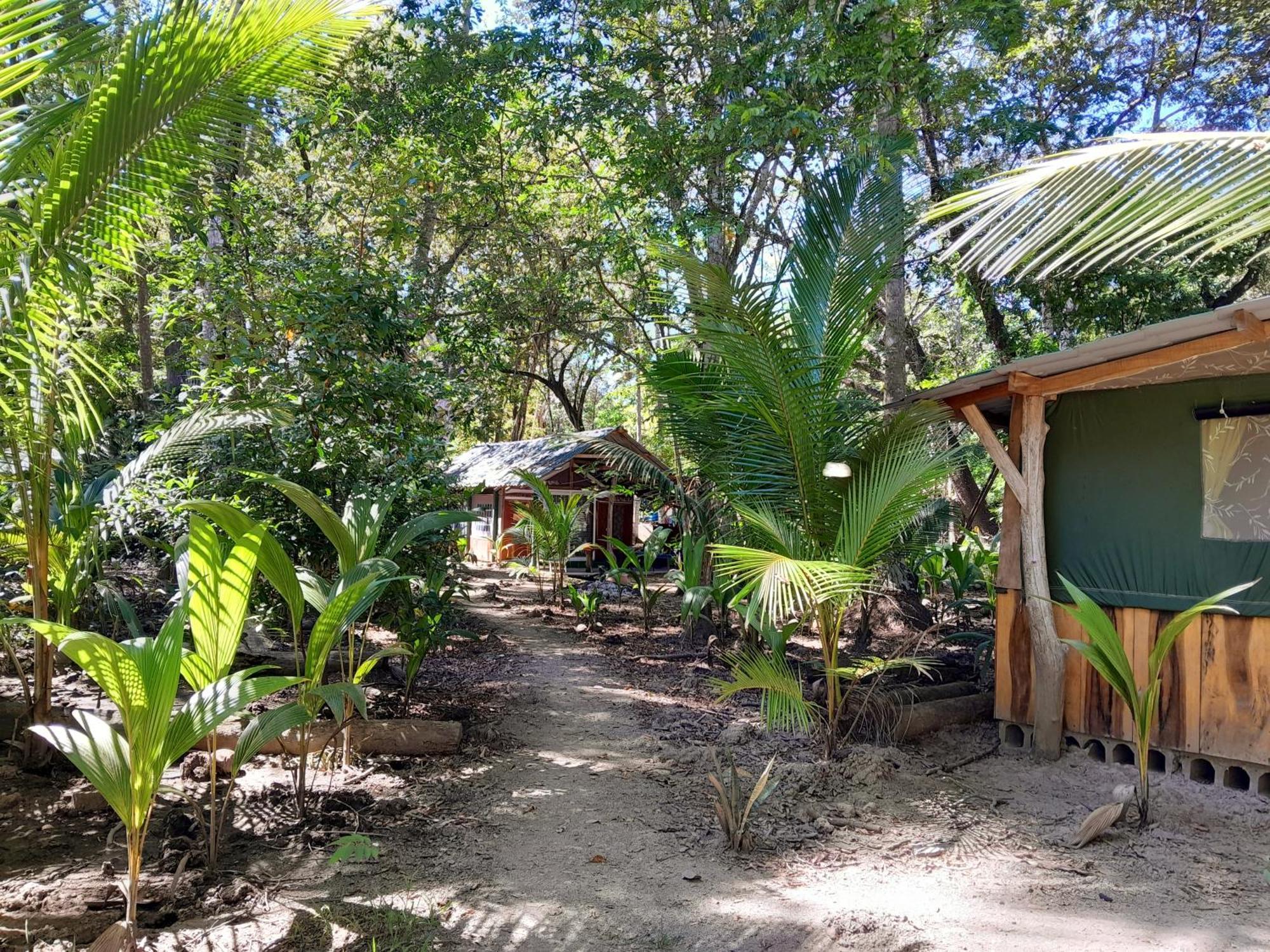 Fully Furnished Family Jungle Tent, Latino Glamping Paquera Dış mekan fotoğraf