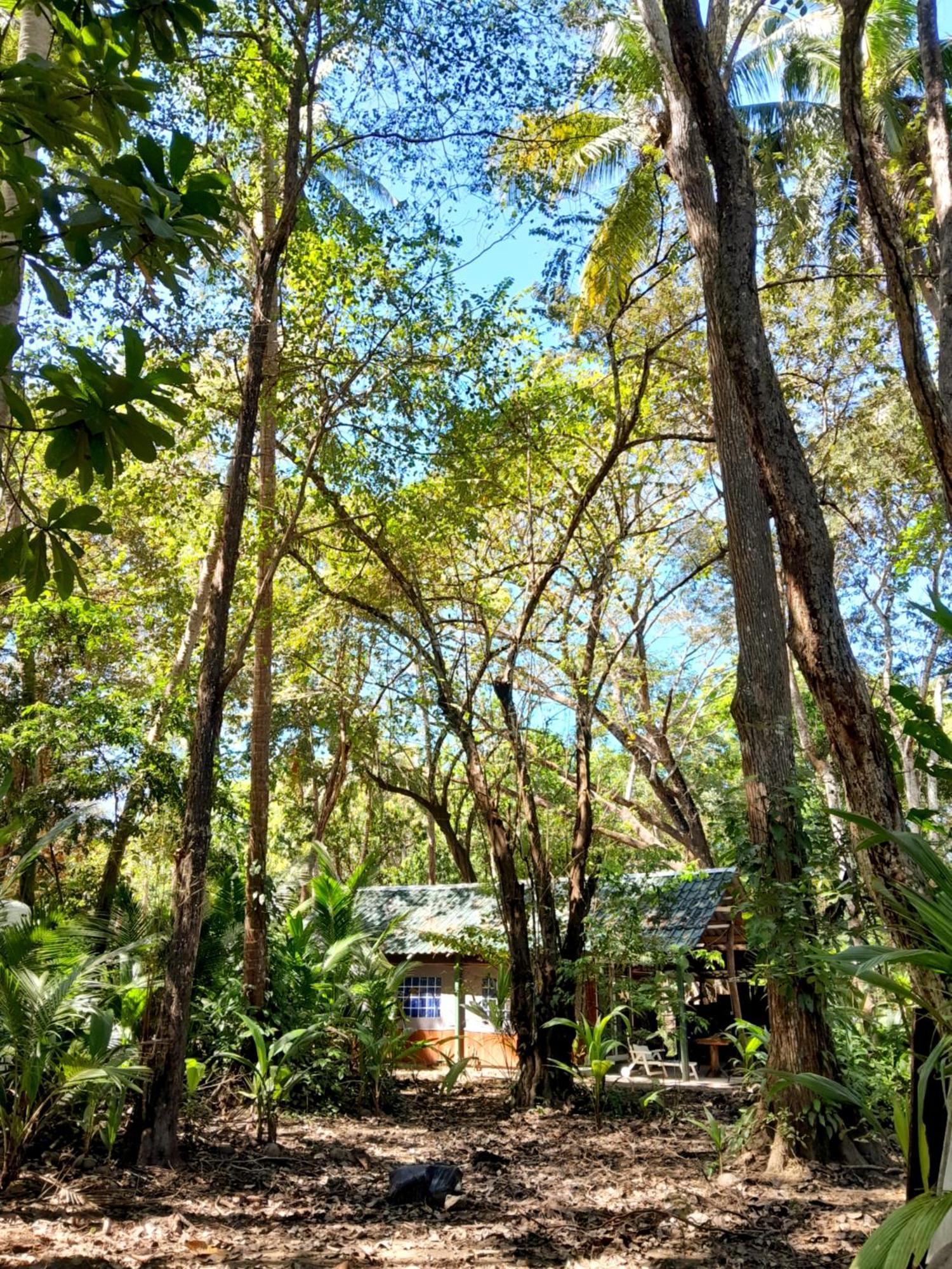 Fully Furnished Family Jungle Tent, Latino Glamping Paquera Dış mekan fotoğraf