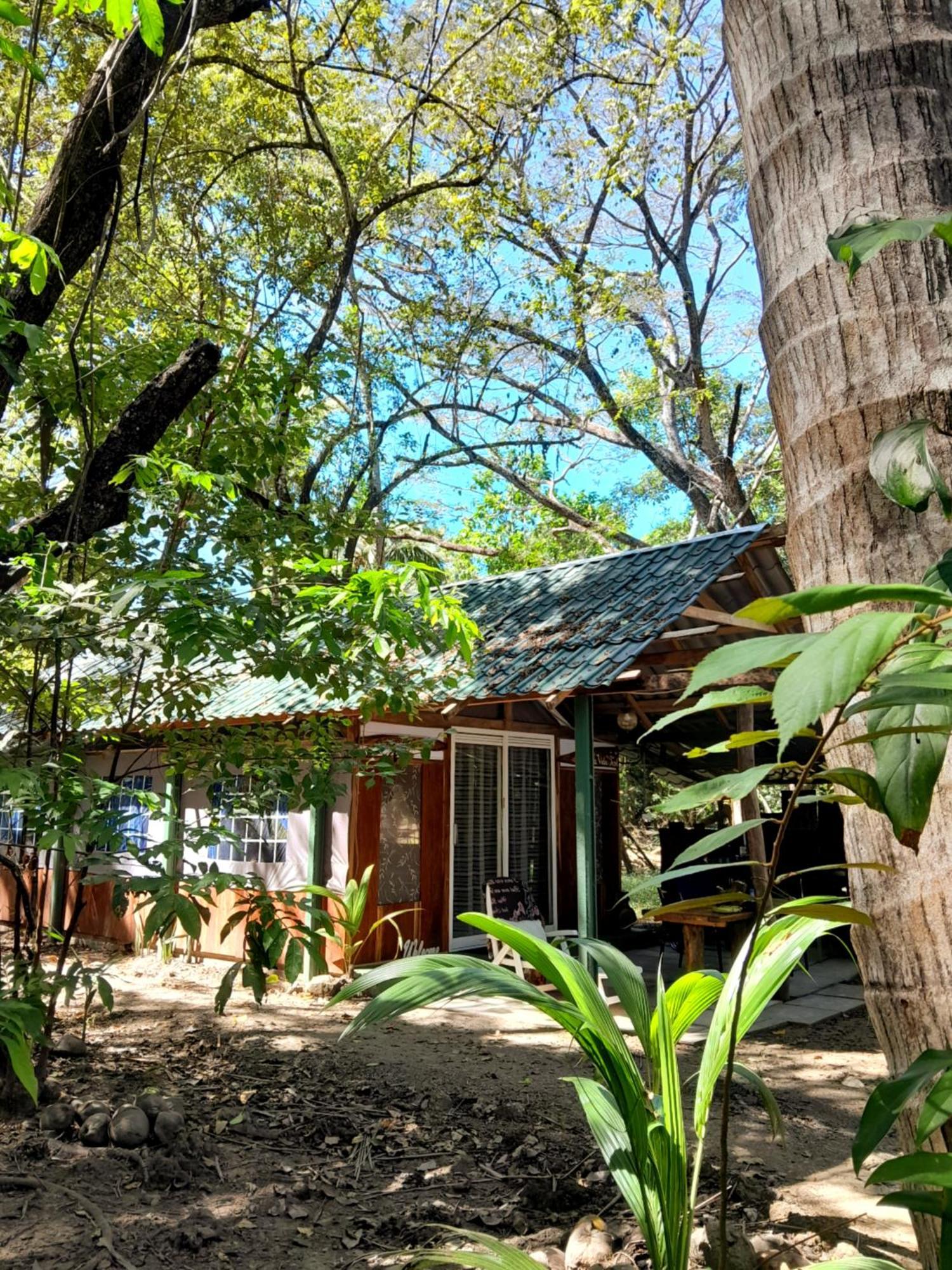 Fully Furnished Family Jungle Tent, Latino Glamping Paquera Dış mekan fotoğraf