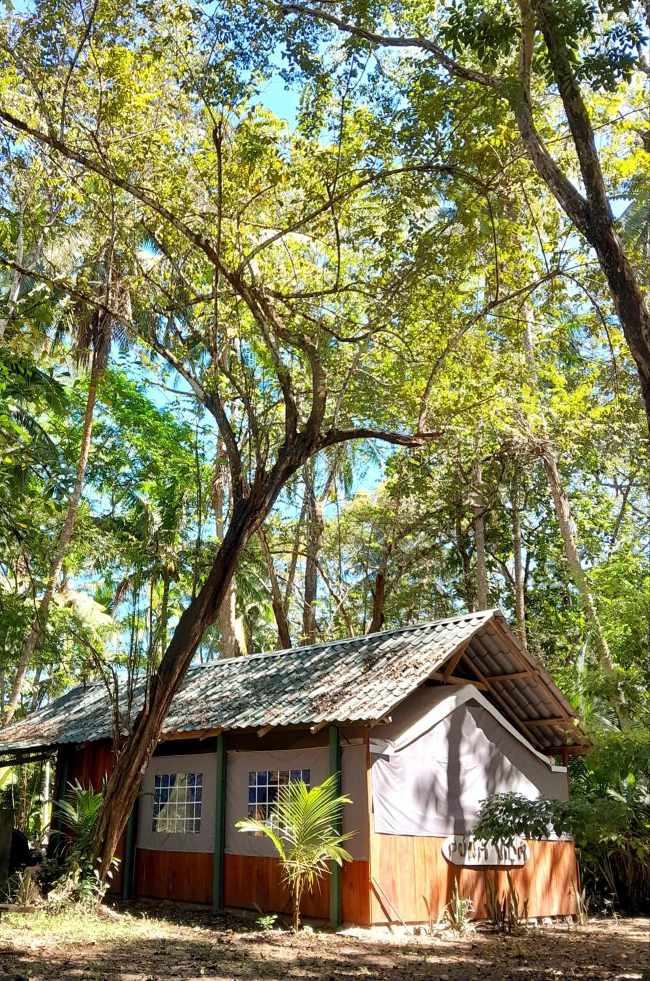 Fully Furnished Family Jungle Tent, Latino Glamping Paquera Dış mekan fotoğraf