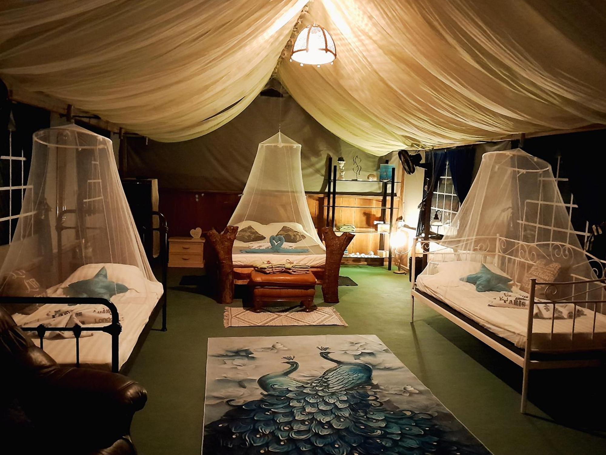 Fully Furnished Family Jungle Tent, Latino Glamping Paquera Dış mekan fotoğraf