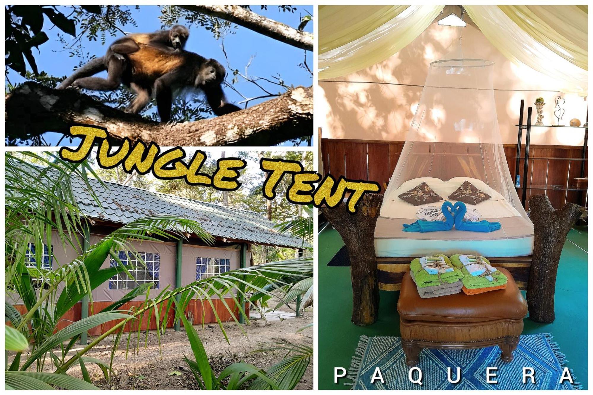 Fully Furnished Family Jungle Tent, Latino Glamping Paquera Dış mekan fotoğraf