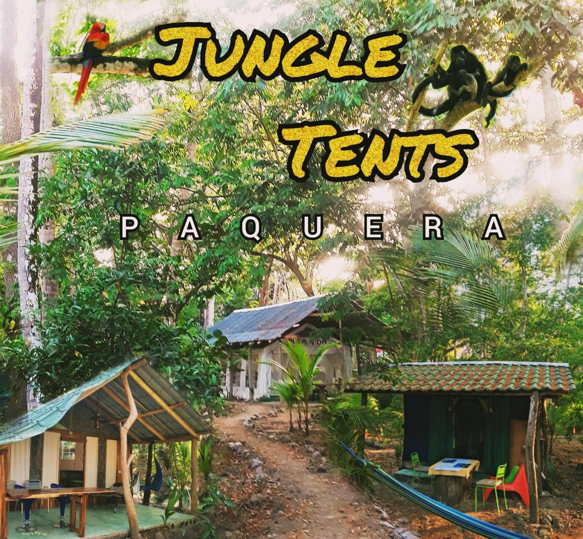 Fully Furnished Family Jungle Tent, Latino Glamping Paquera Dış mekan fotoğraf