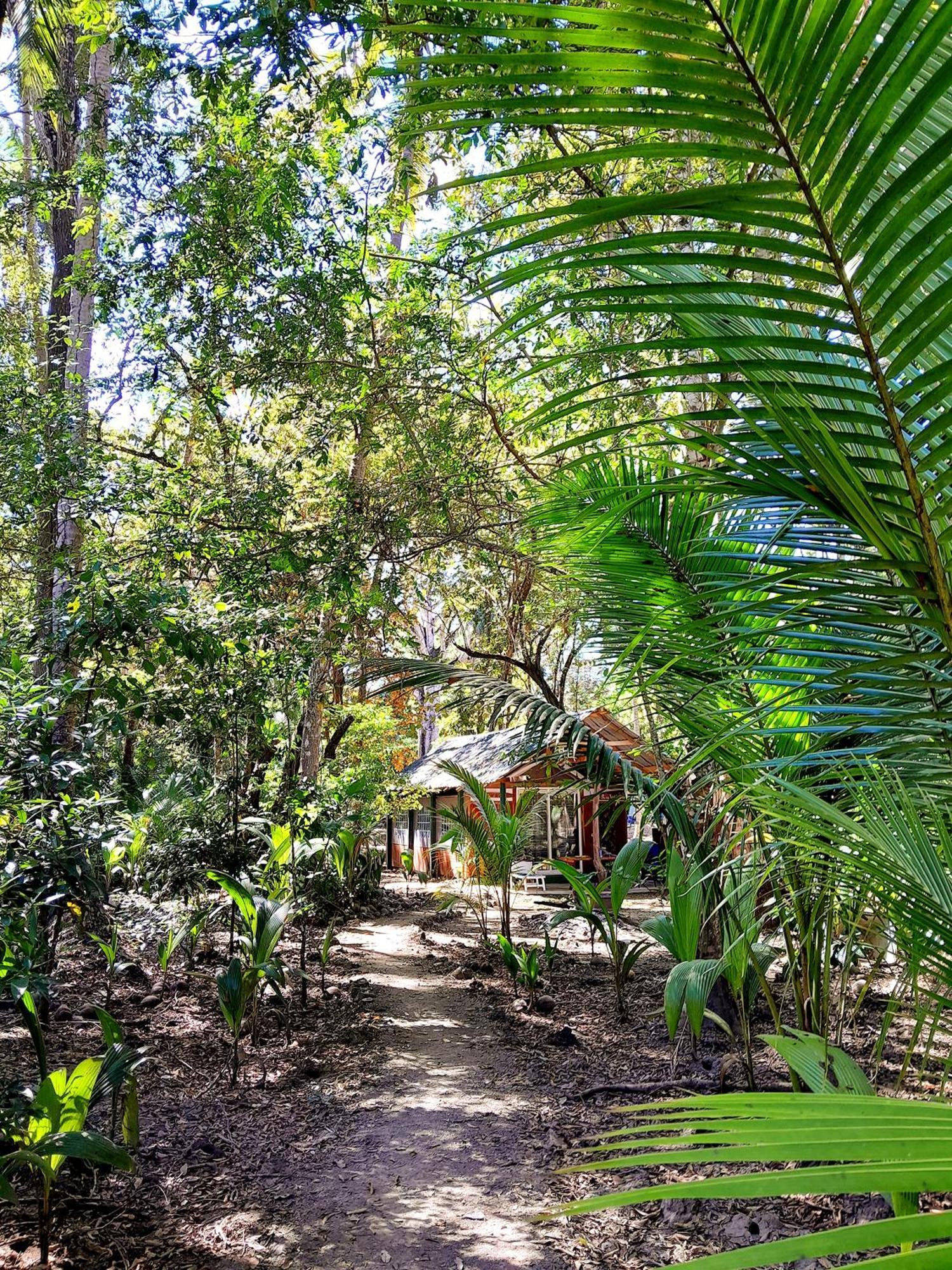 Fully Furnished Family Jungle Tent, Latino Glamping Paquera Dış mekan fotoğraf
