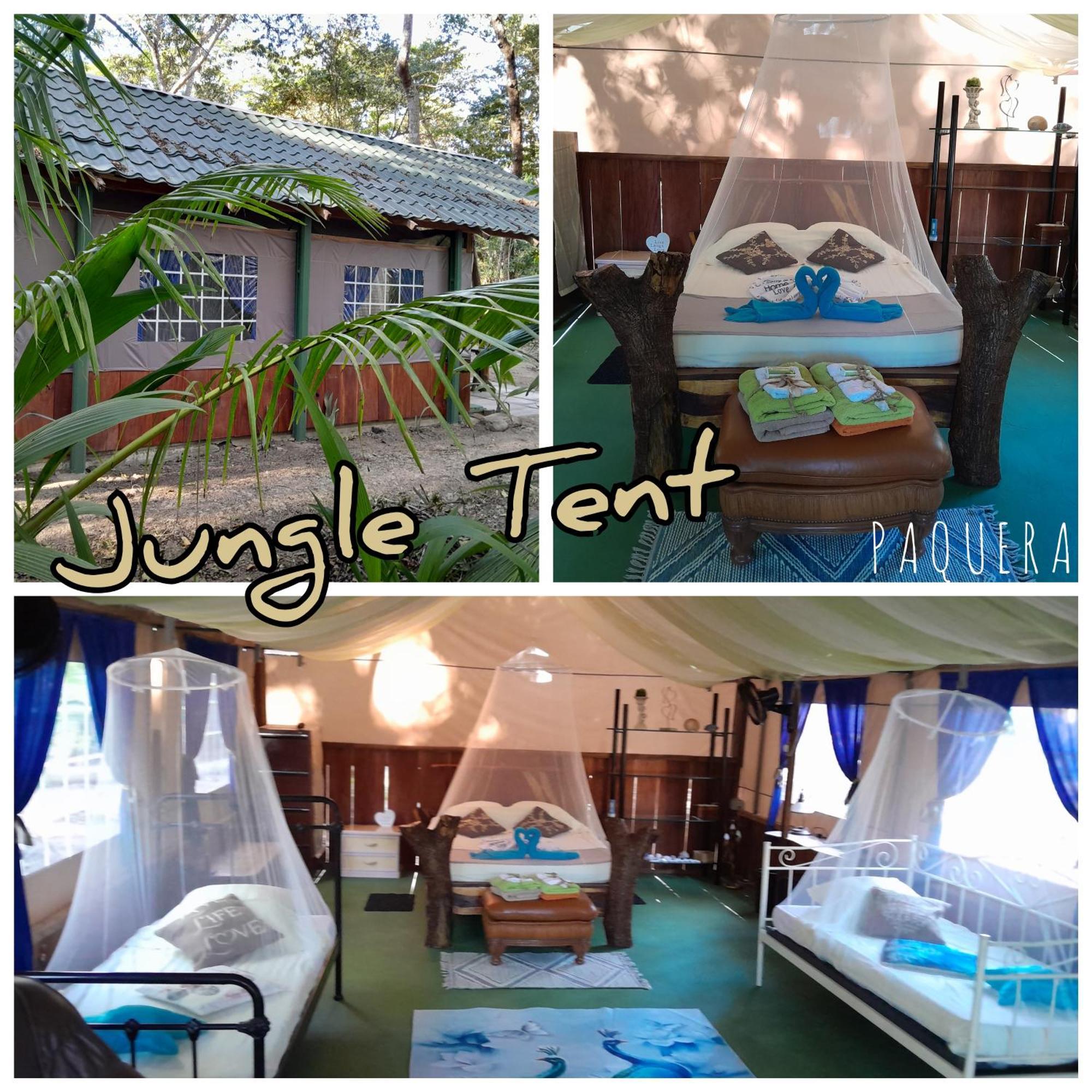 Fully Furnished Family Jungle Tent, Latino Glamping Paquera Dış mekan fotoğraf