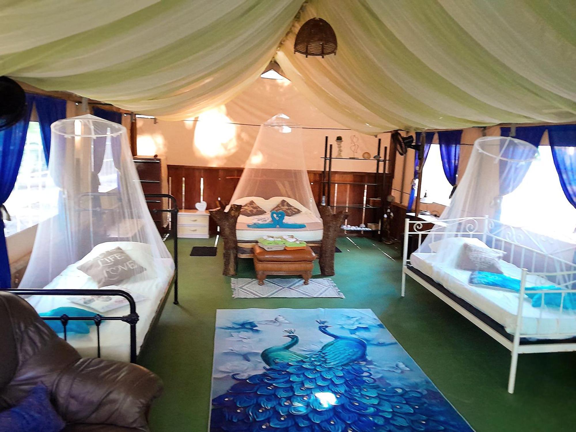Fully Furnished Family Jungle Tent, Latino Glamping Paquera Dış mekan fotoğraf