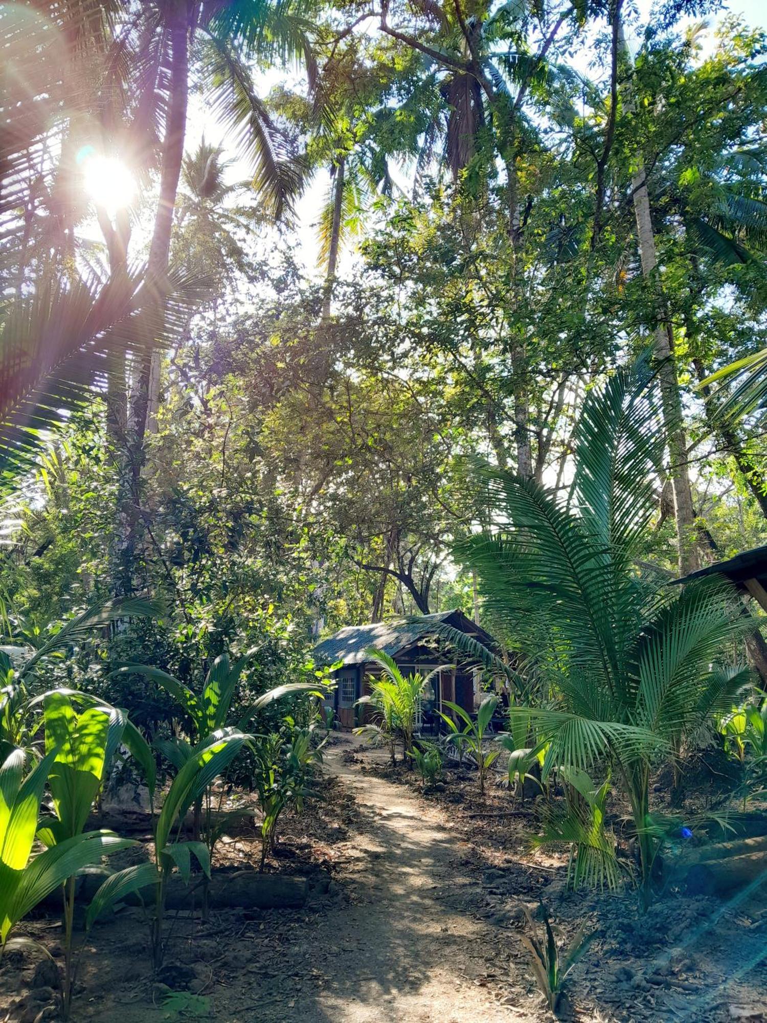 Fully Furnished Family Jungle Tent, Latino Glamping Paquera Dış mekan fotoğraf